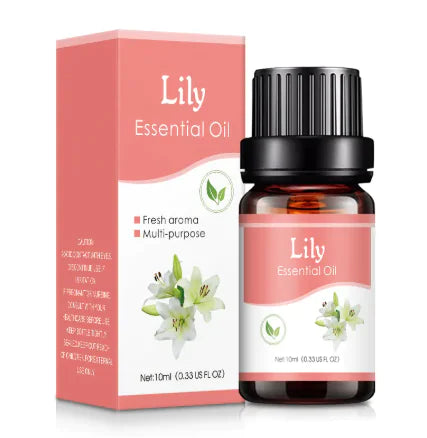 Aromatherapy Humidifier