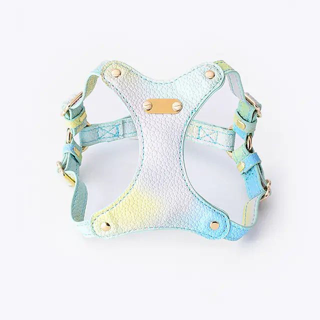 Adjustable Waterproof Leather Pet Harness for Small Dogs
