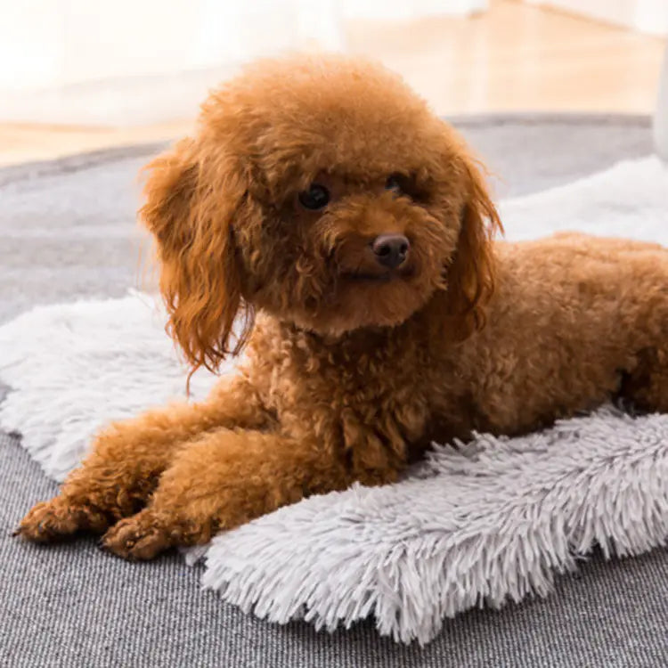 Square Pet Bed for Small, Medium, Large Dogs and Cats