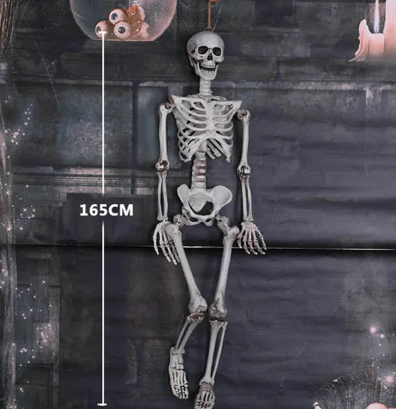 Realistic Skeleton Model
